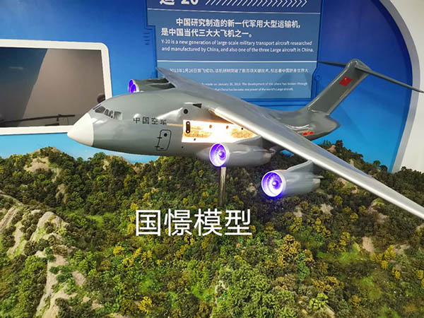蒙阴县飞机模型