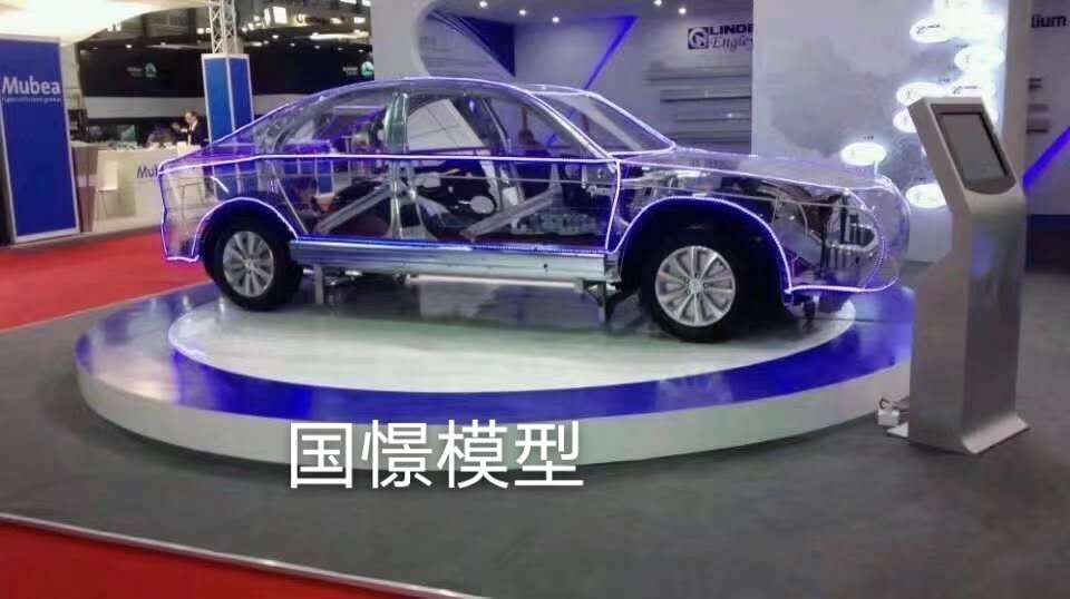 蒙阴县透明车模型